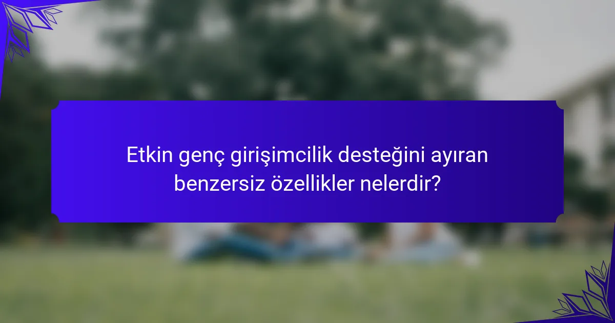 Etkin genç girişimcilik desteğini ayıran benzersiz özellikler nelerdir?