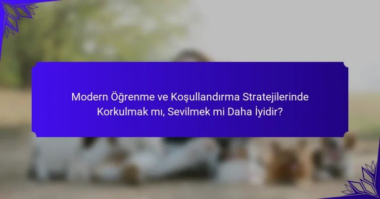 Modern Öğrenme ve Koşullandırma Stratejilerinde Korkulmak mı, Sevilmek mi Daha İyidir?
