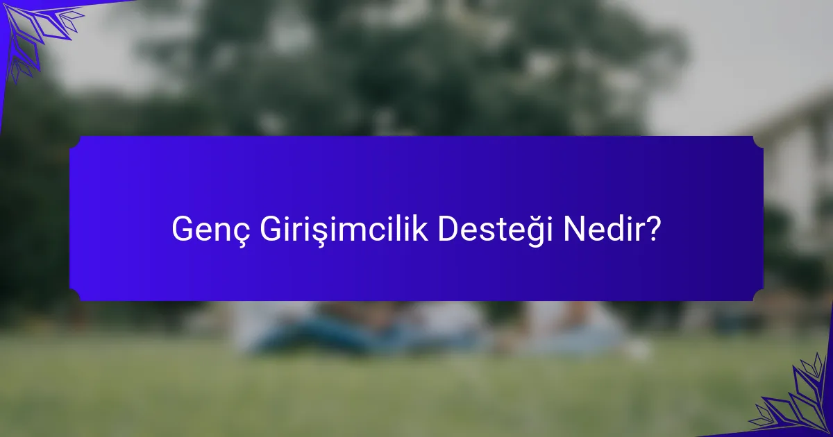 Genç Girişimcilik Desteği Nedir?