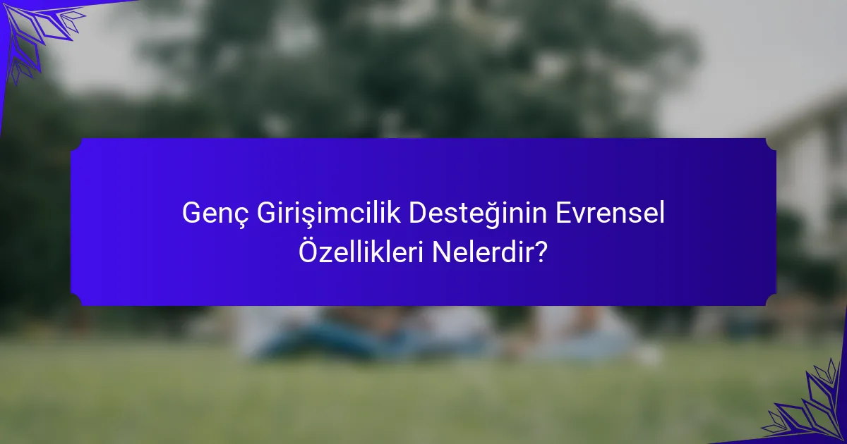 Genç Girişimcilik Desteğinin Evrensel Özellikleri Nelerdir?