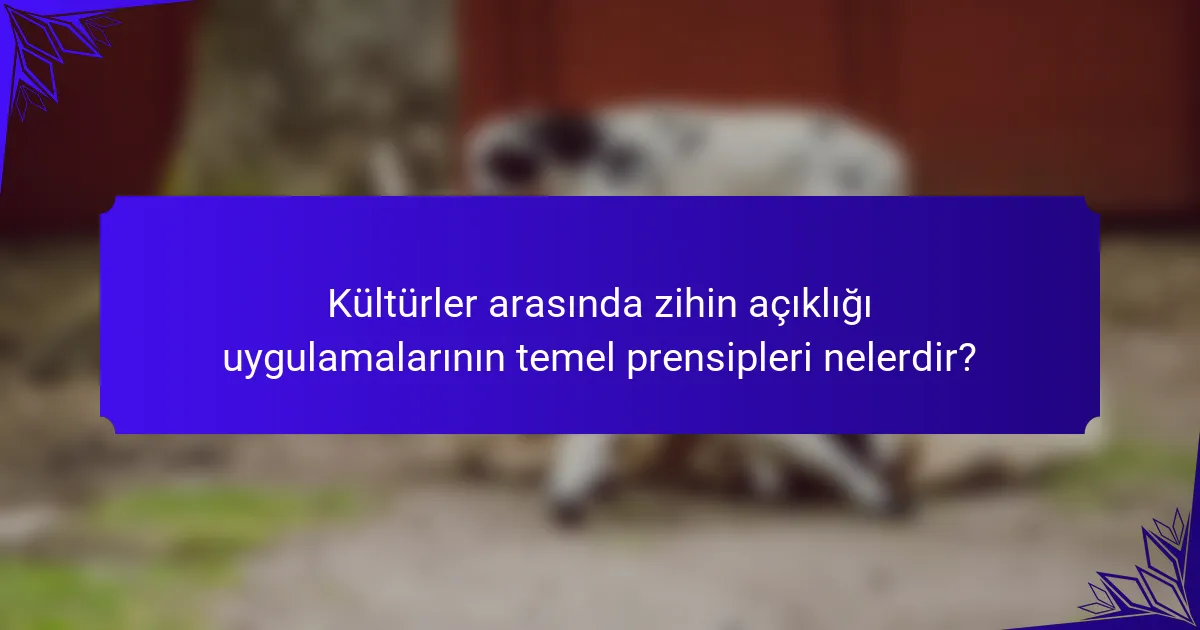 Kültürler arasında zihin açıklığı uygulamalarının temel prensipleri nelerdir?